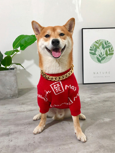小狗针织毛衣柯基雪纳瑞泰迪柴犬新年装中型小型犬宠物衣服秋冬 - 图0