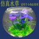 Small round fish tank simulated aquatic plant decoration package