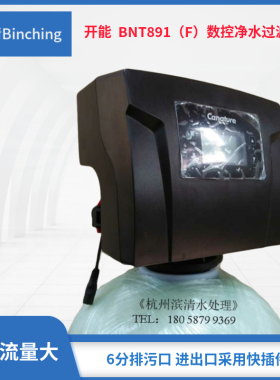 开能水处理控制阀流量型带旁通