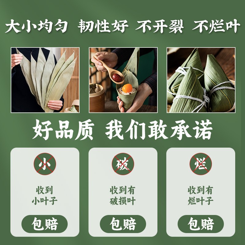 粽叶干大号粽子叶免邮大码麻竹叶新鲜粽叶传统端午家用包粽子商用 - 图2