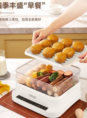 跨境Electric steamer电蒸锅早餐机智能三层多层可视蒸格大容量