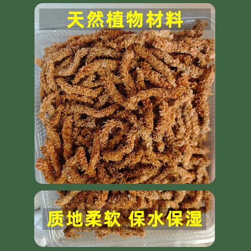 智利进口水苔毛毛虫水苔干苔藓兰花营养土乌龟冬眠垫材蝴蝶兰专用 - 图2