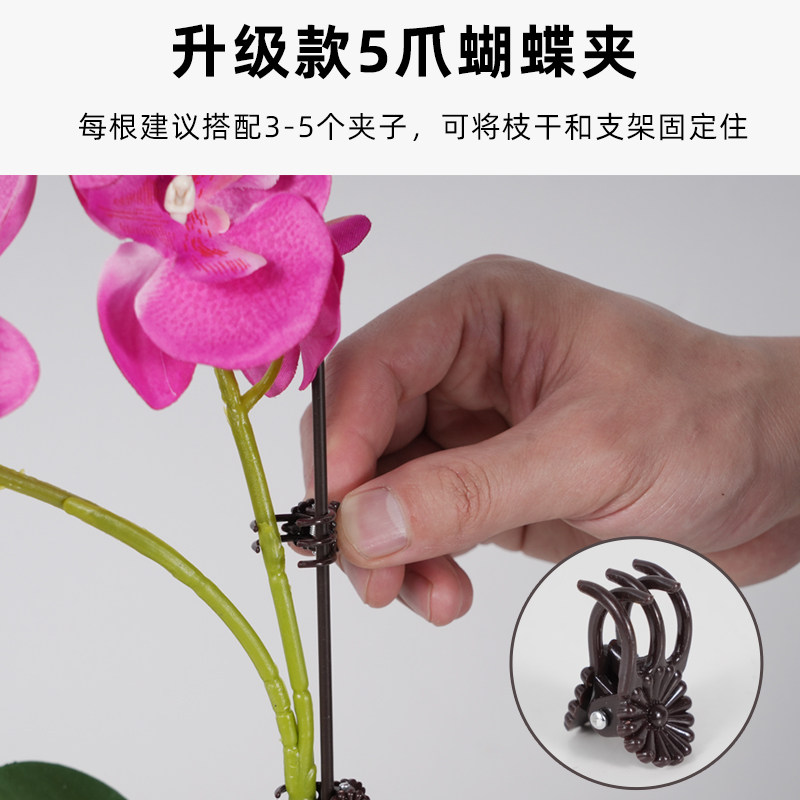 蝴蝶兰专用夹子兰花支架植物支撑杆爬藤类花卉防倒伏固定铁丝园艺,淘宝优惠券,粉丝福利购,淘宝优惠卷