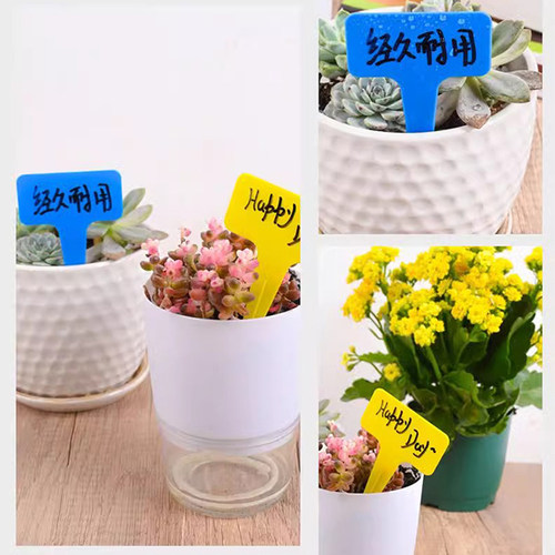 植物标签牌插地牌标识标牌记号标签牌一体书写标记多肉果树指示牌 - 图3