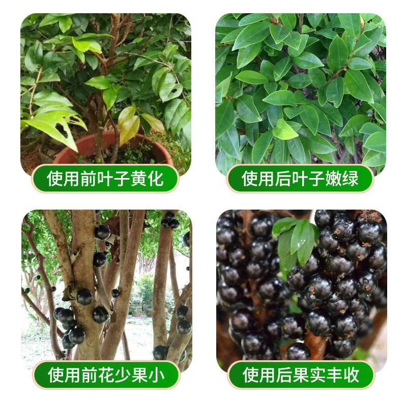 嘉宝果专用肥料树葡萄缓释肥催花复合颗粒营养有机肥果树珍宝促果,淘宝优惠券,粉丝福利购,淘宝优惠卷