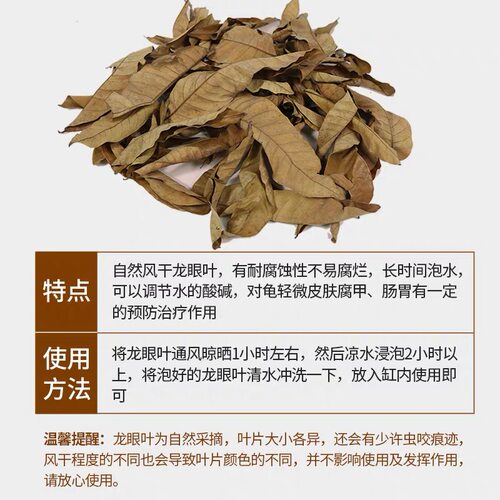 乌龟龙眼叶养龟躲避治疗水龟龟腐皮烂龟缸造景植物叶子饲养龟PH调 - 图2