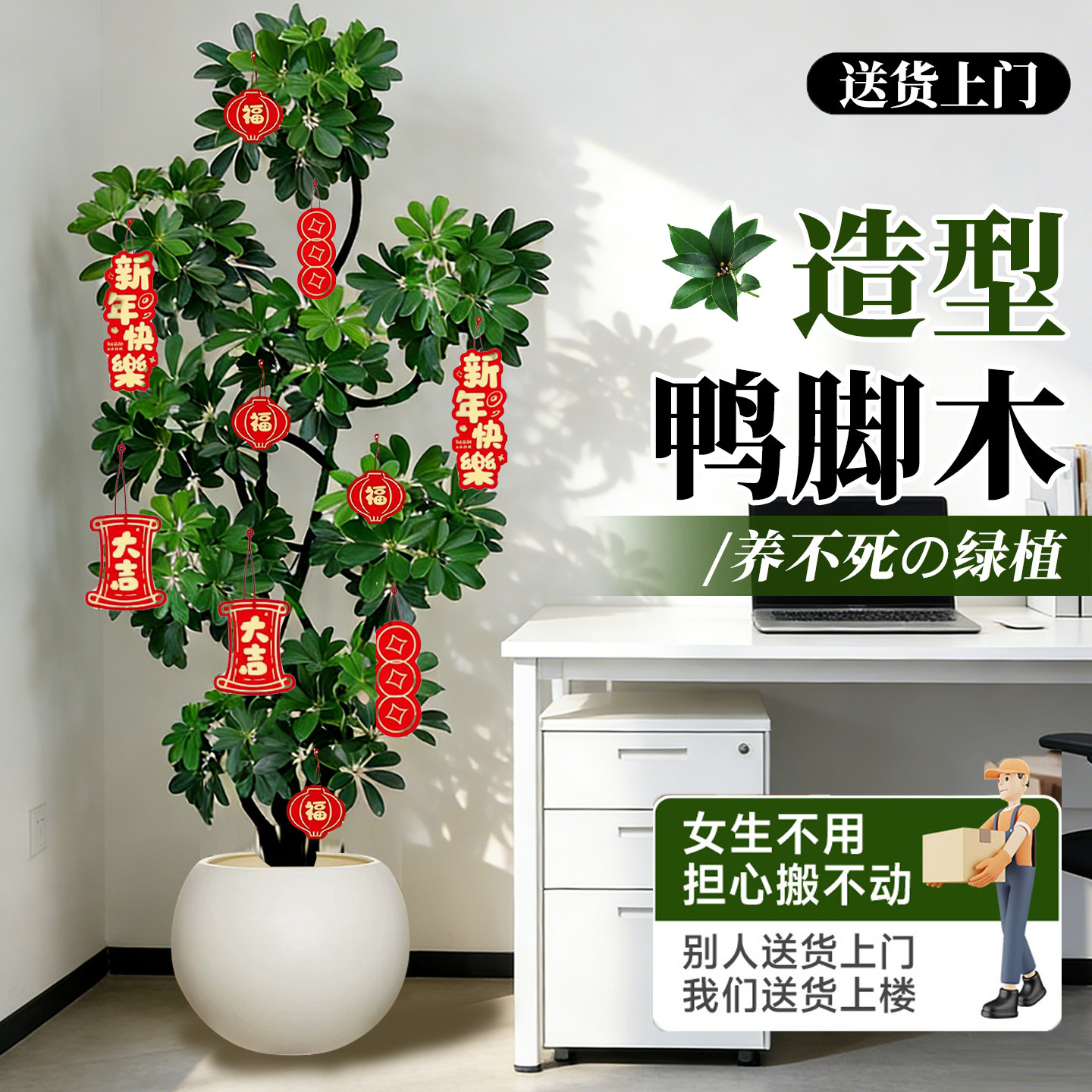 造型鸭脚木客厅大盆栽鸭掌木鹅掌柴室内乔迁绿植植物大型落地四季,淘宝优惠券,粉丝福利购,淘宝优惠卷