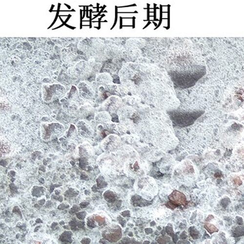 饼肥芝麻渣麻酱渣香油渣花卉蔬菜用花肥料追施颗粒有机肥农家肥 - 图0