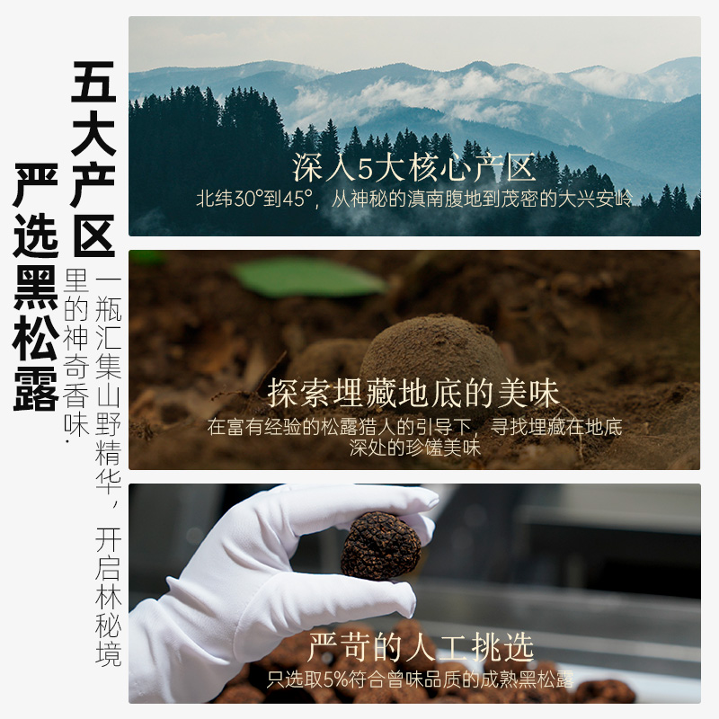 曾味黑松露酱100g/280g黑菌调味面酱西餐牛排意面拌面调味商用 - 图1