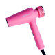Fire Phoenix Hair Dryer Fire Phoenix Hair Dryer