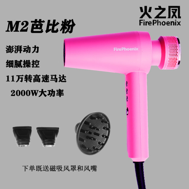 Fire Phoenix Hair Dryer Fire Phoenix Hair Dryer