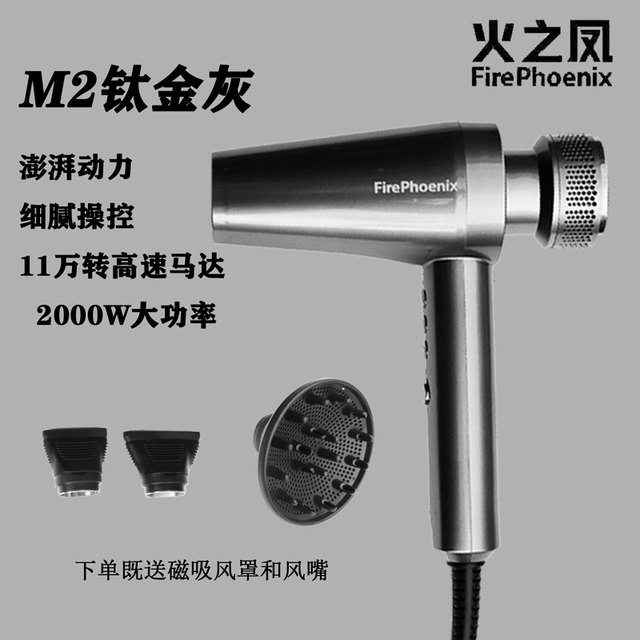 Fire Phoenix Hair Dryer Fire Phoenix Hair Dryer