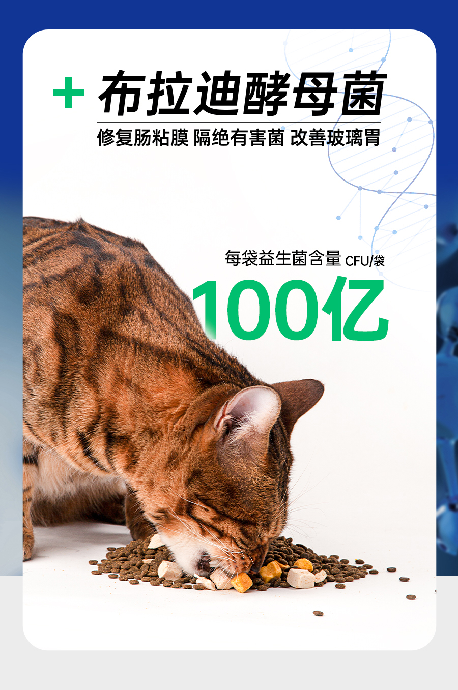 阿飞和巴弟E76无谷猫粮2kg冻干生骨肉成猫全阶段幼猫增肥发腮