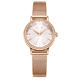 Julishi Women's Bracelet Steel Strap Versatile Women's Watch New Style