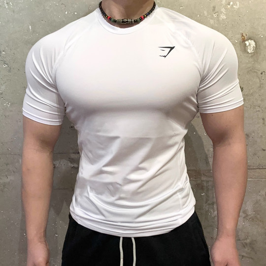 英国Gymshark肌肉鲨鱼男运动健身速干T恤透气弹性显身材修身短袖