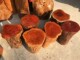 Natural shape solid wood pier lychee wood log root carved stool round wooden pier tea table base low stool rosewood