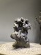Taihu stone rockery bonsai stone small ornaments fish tank landscaping attached stone ornamental stone natural stone raw stone bouldering