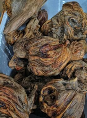 松明木琥珀木天然原木风化木摆件土沉香文玩手把件陈化料高油性