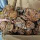 Pine wood, amber wood, natural logs, weathered wood ornaments, earthy agarwood, handpieces, aged materials, highly oily