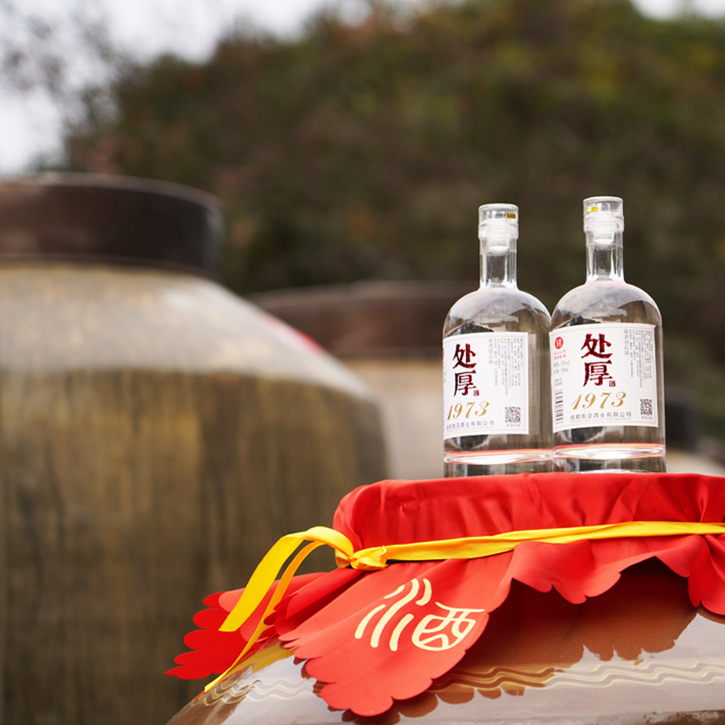 浓香型52度四川邛崃双轮老酒瓶装酒整箱固态发酵白酒原浆纯粮食酒