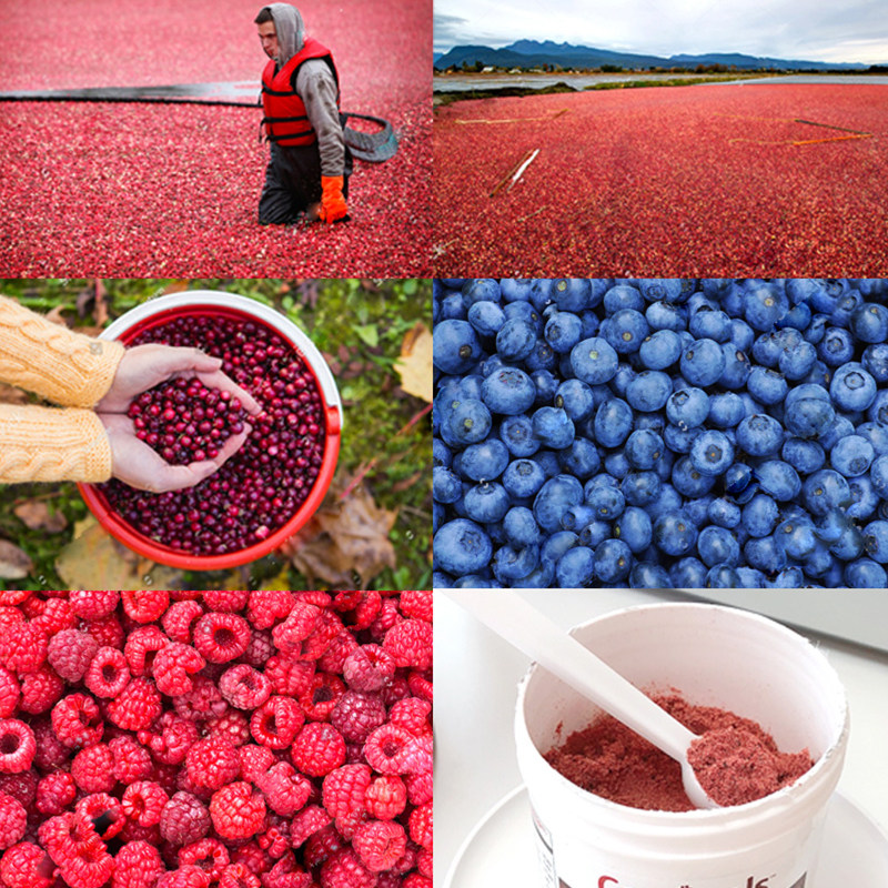 布丁妹妹Cranimals克雷蒙莓粉宠物猫狗蔓越莓粉抗氧化泌尿三莓粉,淘宝优惠券,粉丝福利购,淘宝优惠卷