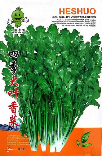 四季香菜种子农田菜园可盆栽高产老品种大小叶芫荽香菜蔬菜籽