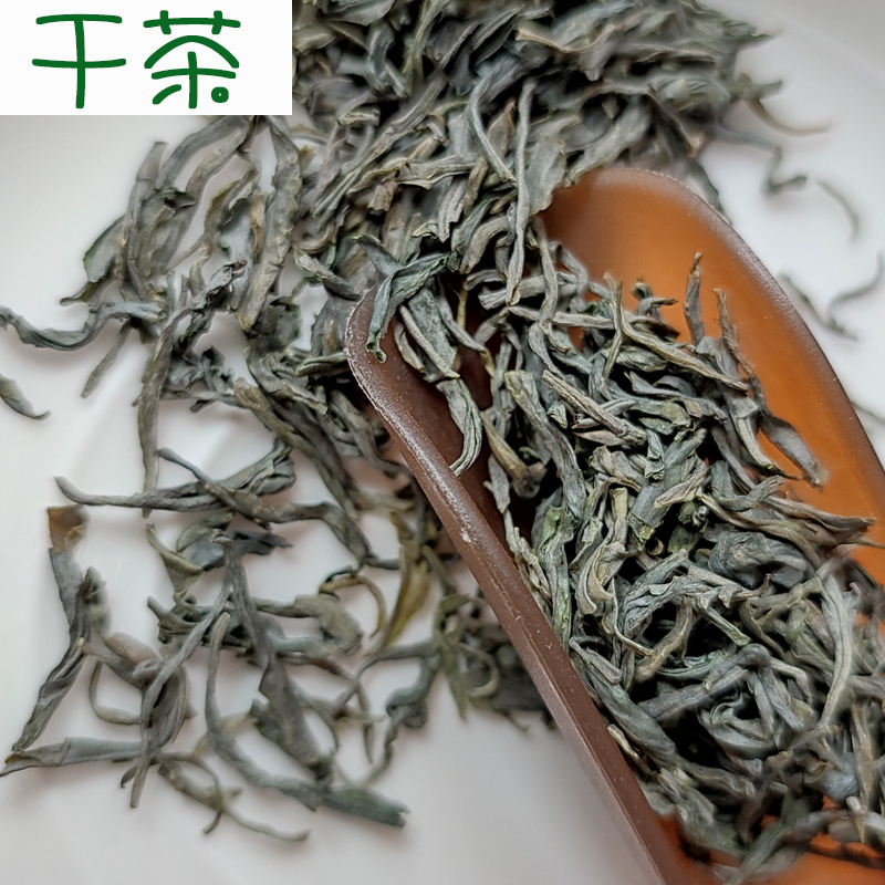 2024绿茶早春新茶叶特级宜宾早茶水中韵屏山炒青明前条茶袋装250g - 图1