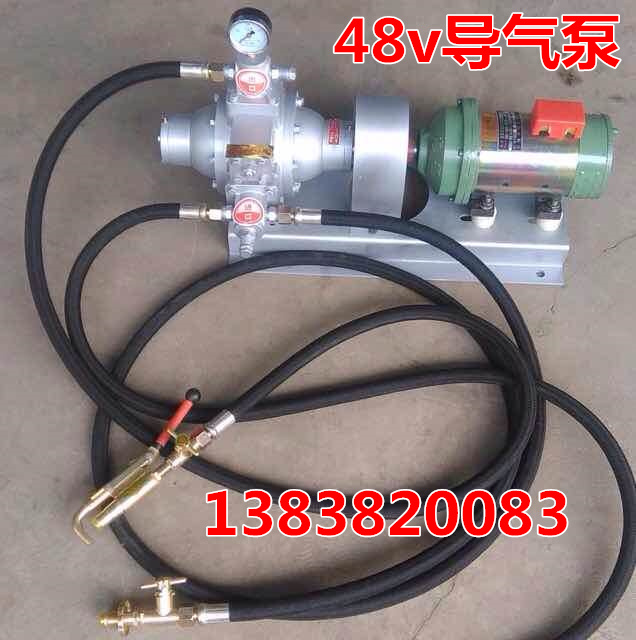 新款家用220v液化气导气泵车载48v12v煤气导气泵大瓶导小瓶充气泵 - 图0