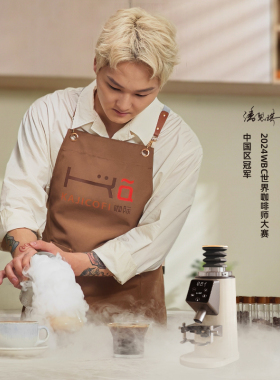 0压力磨浅烘豆家商两用冠军品质