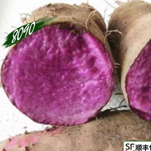 8090 新鲜蔬菜 绿色紫山药 紫淮山 500克 浙江沪满五件包邮 - 图1