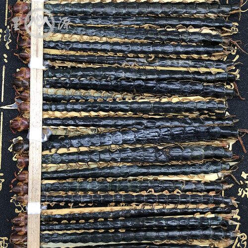 蜈蚣中药材正品蜈蚣干红头大蜈蚣千足虫吴公百足虫非野生批发打粉 - 图2