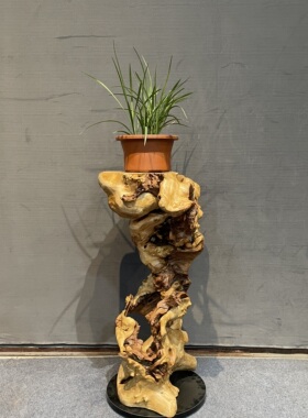 天然根雕花架盆景绿植花卉展示架