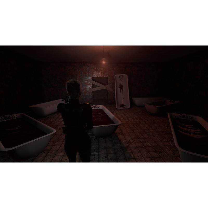 塞琳娜的不眠夜 中文版 全DLC 免steam 电脑PC单机游戏,淘宝优惠券,粉丝福利购,淘宝优惠卷