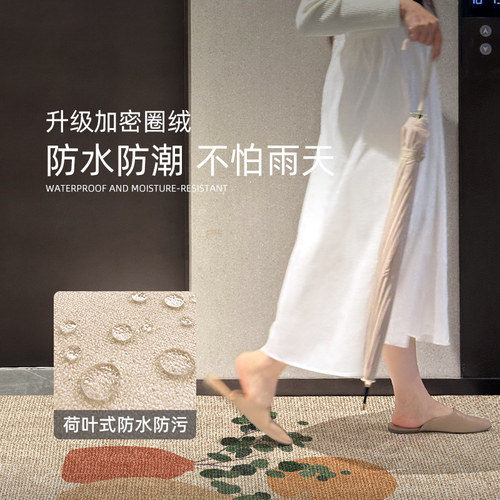门垫家用门口耐脏脚踏垫门外可定制脚踏垫入户门地垫玄关垫子脚垫 - 图1