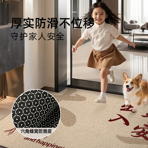 地垫入户门进门地毯门口家用门垫防滑入户高级玄关客厅脚垫可裁剪 - 图1