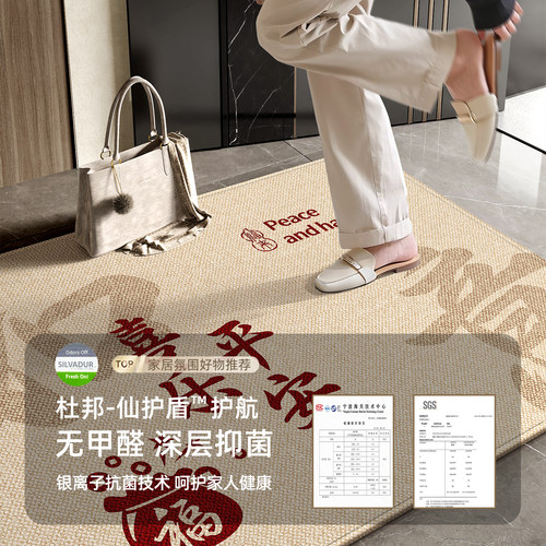 地垫入户门进门地毯门口家用门垫防滑入户高级玄关客厅脚垫可裁剪 - 图0
