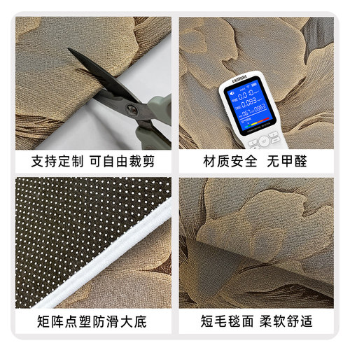 简约现代入户门地垫地毯门垫进门大门口玄关耐脏耐磨防滑脚垫定制 - 图2