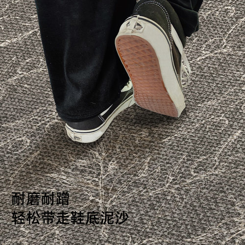 入户门地垫高级感门垫防滑入户大门口进门垫客厅门地垫可裁剪垫子 - 图1