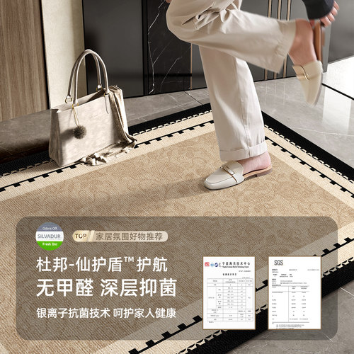入户门地垫高级耐脏防滑门垫新款家用进门脚垫门口可裁剪客厅地毯 - 图0