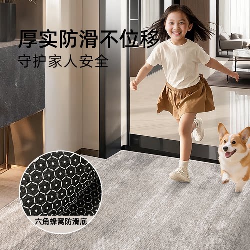 入户门口地毯高级感别墅进门地垫免洗耐脏入户门脚垫入门门垫新款 - 图2