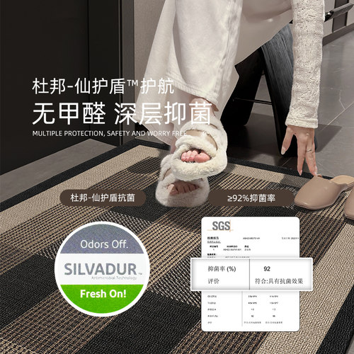 入户门地垫家用脚踏垫新款轻奢高级感地毯防滑门口地垫门外脚垫子 - 图3