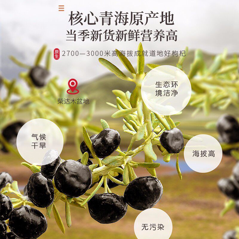 福东海黑枸杞非野生宁夏青海黑构杞官方旗舰店搭桑葚刺梨玫瑰花茶