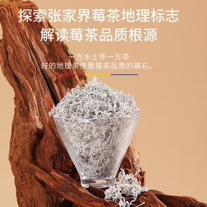 福东海莓茶芽尖特级野山生张家界芽尖莓茶高山嫩芽官方旗舰店正品