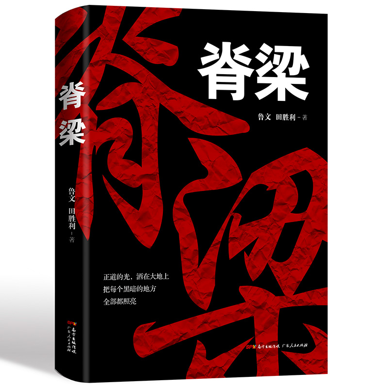 正版 脊梁小说 鲁文田胜利著 国之脊梁正能量反腐小说 正道的光洒在大地上把每个黑暗的地方全部都照亮  脊梁电视剧原著小说 - 图3