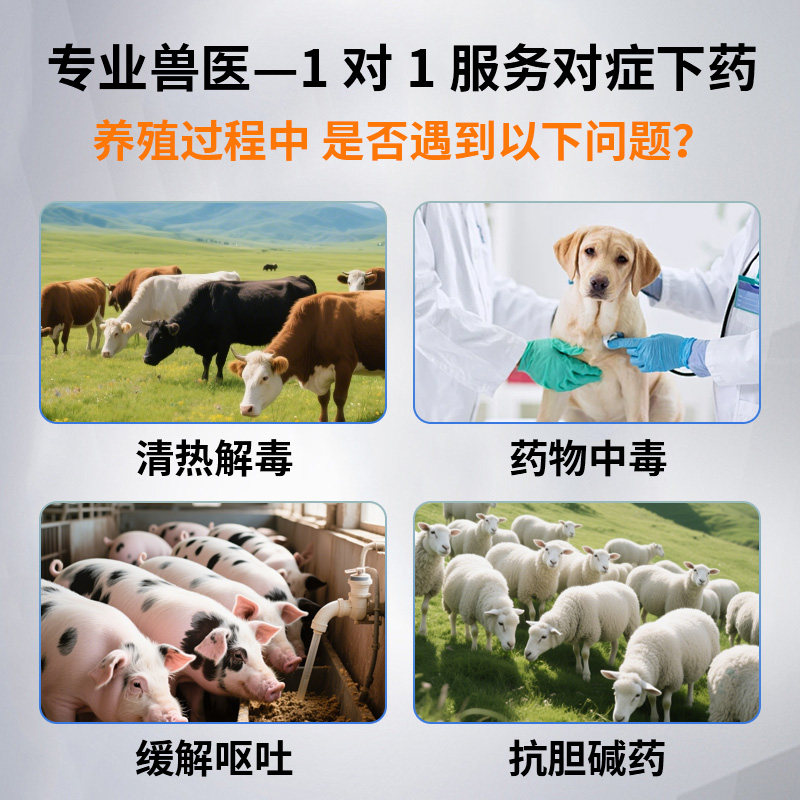 阿托品注射液兽用兽药狗狗猫咪百中毒解毒猪牛犬猫针剂硫酸阿托品,淘宝优惠券,粉丝福利购,淘宝优惠卷