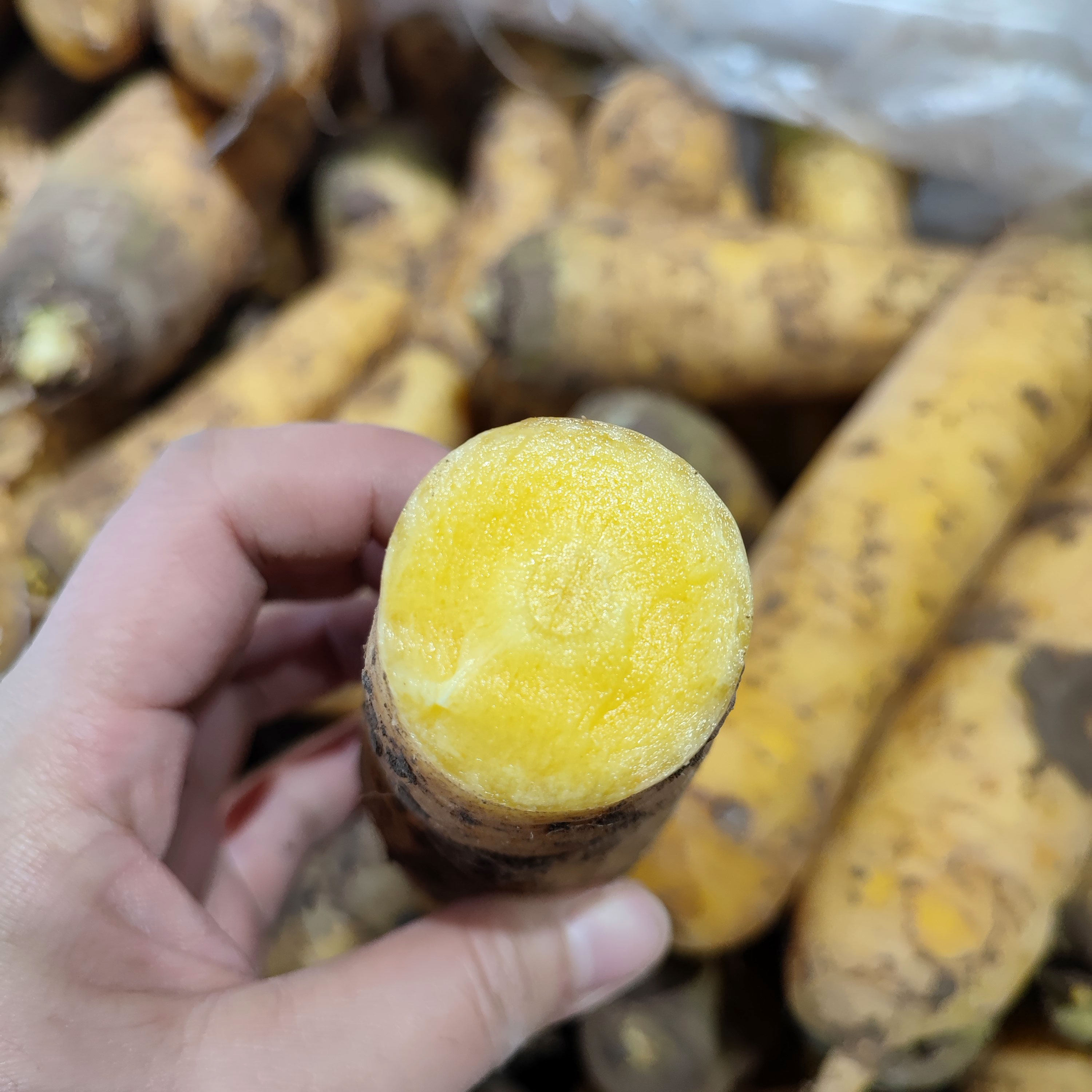 新疆黄心胡萝卜新鲜蔬菜农家自种带泥黄胡萝卜抓饭专用宝宝辅食,淘宝优惠券,粉丝福利购,淘宝优惠卷