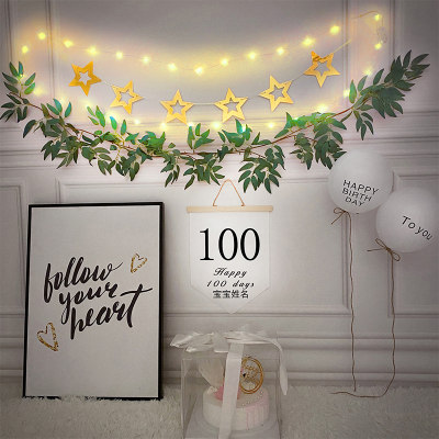 带灯森系宝宝一周岁百天儿童生日快乐拉旗装饰定制名字背景墙布置_虎窝淘
