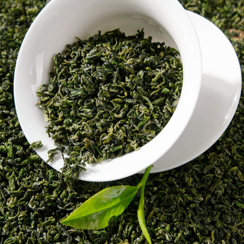 2026新茶上市春茶贵州茶叶绿茶宝石高山明前黎平白茶白小粒250g - 图0