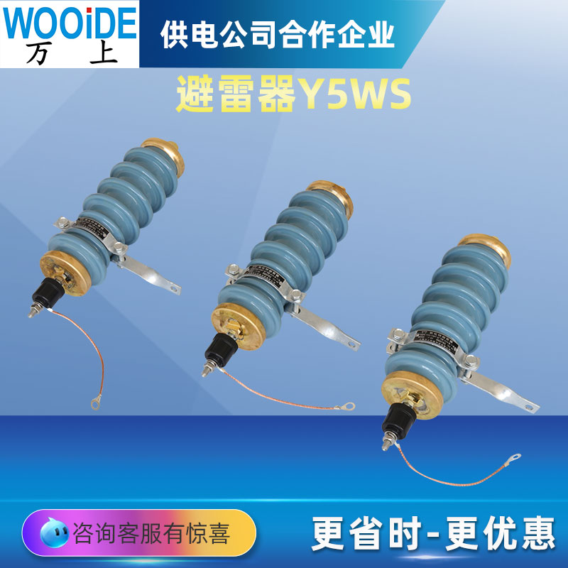 可卸式避雷器HY5WS-17/50DL-TB户外可拆卸10KV-12KV跌落式避雷器 - 图3