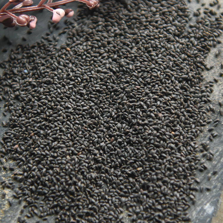 兰香子500g饮料罗勒籽明列子食用奶茶专用饱腹搭水果果粒茶南眉籽,淘宝优惠券,粉丝福利购,淘宝优惠卷